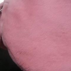 Bolsa criança, jak nahlášeno IKEA Matosinhos pomocí iLost