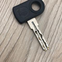 İLost kullanarak Pathé Delft tarafından bildirildiği gibi Anahtar