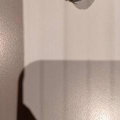 İLost kullanarak De Efteling tarafından bildirildiği gibi Battaniye