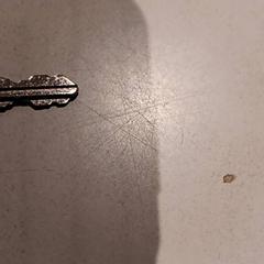 Chave, como reportado por De Efteling utilizando o iLost