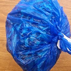 Bag, as reported by GVB using iLost