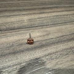 Pendiente Rose goud, ha sido reportado por Van der Valk Hotel Zwolle con iLost