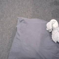 Coxín & Xoguete de peluche, segundo informou SnowWorld Landgraaf usando iLost