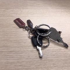 Llaves, ha sido reportado por Gemeente Arnhem con iLost