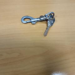 Sleutel, ha sido reportado por Transdev Hoeksche Waard Goeree Overflakkee con iLost