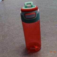 Flaske roos, som rapportert av Gemeente Leopoldsburg ved bruk av iLost