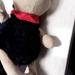 Kosete leke, som rapportert av Qbuzz Fryslân ved bruk av iLost