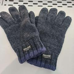 Gloves, as reported by Arriva Limburg Zuid using iLost