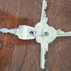 Sleutels, som rapportert til iLost