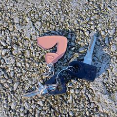 Sleutels Leiden, como reportado ao iLost