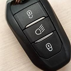 Car keys, as reported by IKEA Brest Guipavas using iLost