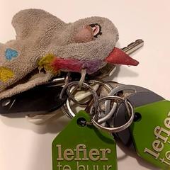 Llaves, ha sido reportado por RAI Amsterdam con iLost