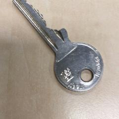 Klucz, zgłoszono przez Haaglanden Medisch Centrum przy użyciu iLost