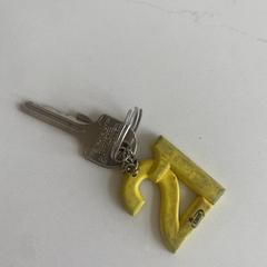 Sleutel met 21 sleutelhanger, ha sido reportado a iLost