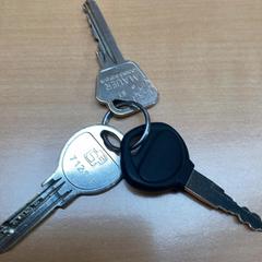 Nøkkelring, som rapportert av Gemeente Zutphen ved bruk av iLost