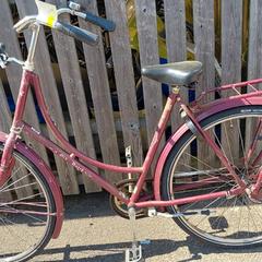 الدراجة Batavus Rood، كما تم الإبلاغ عنه بواسطة Fietsdepot Meierijstad عبر iLost