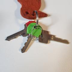 Sleutels, som rapportert til iLost