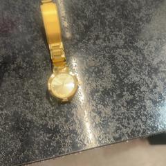Watch, as reported by Rotterdam The Hague Airport using iLost