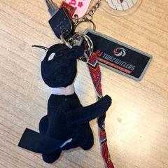 Nøkler, som rapportert av Qbuzz DMG ved bruk av iLost