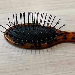 Varios - Haarborstel, ha sido reportado por Regio Limburg - Leuven con iLost