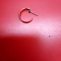 Belarritakoa, gisa salatu by UvA REC iLost erabiliz