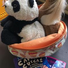 İLost kullanarak Connexxion Zeeland tarafından bildirildiği gibi Bebekler