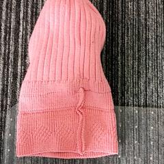 비니 Rose, iLost를 사용하여 Arriva Vechtdallijnen에 보고됨