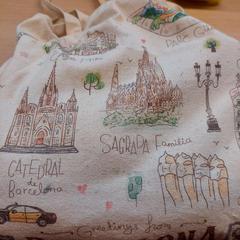 Ľanová taška, ako bolo nahlásené Regio Limburg - Leuven pomocou iLost