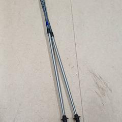Walking sticks, as reported by Qbuzz GD Groningen Peizerweg using iLost