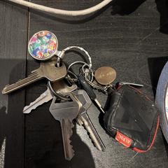 Sleutelbos a été signalé sur iLost