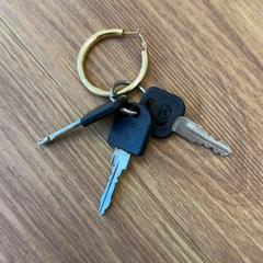 Schlüsselanhänger, gemeldet von DGTL Amsterdam 2026 über iLost