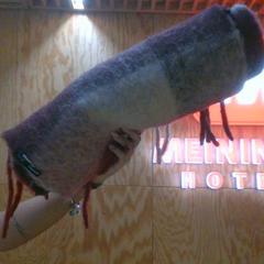 Scarf dark red, red, white, purple, pink, jak nahlášeno MEININGER Hotel Innsbruck Zentrum pomocí iLost