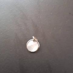 Boucle d'oreille, a été signalé par Apenheul utilisant iLost