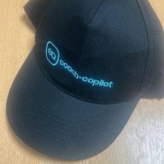 Kšiltovka, jak nahlášeno Sheraton Brussels Airport Hotel pomocí iLost