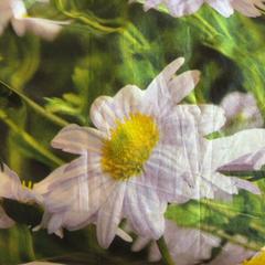 Väska, rapporterat av GVB med iLost