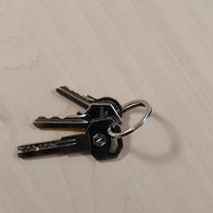 Key, as reported by Regio Oost-Vlaanderen using iLost