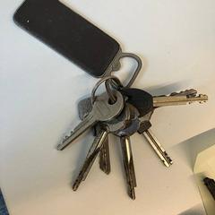 Clau, segons ha informat Gemeente Rijswijk mitjançant iLost