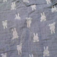 Torchon nijntje, a été signalé par Het Spoorwegmuseum utilisant iLost