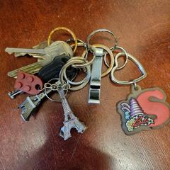 Sleutelbos, iLost'a bildirildiği gibi