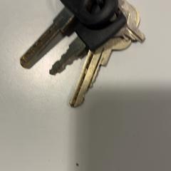 키체인, iLost를 사용하여 Arriva Limburg Noord에 보고됨