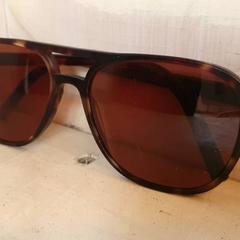 Gafas de sol Bruin, segundo informou DierenPark Amersfoort usando iLost