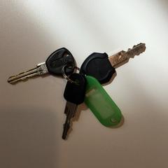 Sleutelbos Groen label, zoals gemeld door Gemeente Weert met iLost