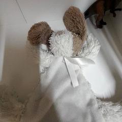 Xoguete & Xoguete de peluche, segundo informou IKEA Utrecht usando iLost