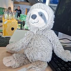Doudou paresseux, som rapportert av IKEA Rouen Tourville-La-Rivière ved bruk av iLost
