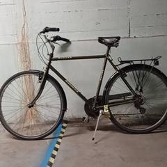 Vélo pour homme Batavus-Mohawk Groen, a été signalé par Fietsdepot Hasselt utilisant iLost