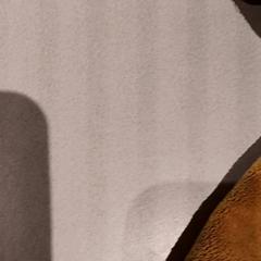 Kuscheltier, gemeldet von De Efteling über iLost