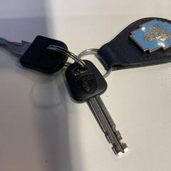 المفاتيح، كما تم الإبلاغ عنه بواسطة Gemeente Amsterdam عبر iLost