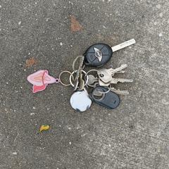 sleutels, as reported to iLost