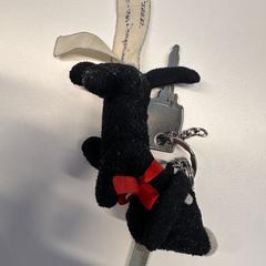 Keys with Takkie Keychain, as reported to iLost