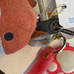 Key, as reported by GVB using iLost